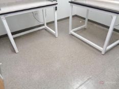 (2) Fisher Scientific 4' Wide Lab Benches
