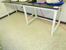 (2) Fisher Scientific Lab Benches