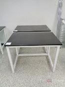 (2) Fisher Scientific 4' Wide Lab Benches