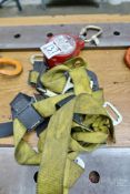 Miller Minilite Fall Limiter Model FL11-1/11FI