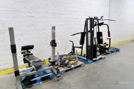 Assorted Workout Equipment