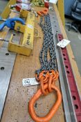 Pewag 4-Point Chain
