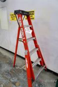 Werner 6' Tripod Ladder