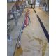 (6) Transfer Hoses - Image 1 of 2