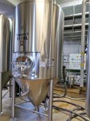 NSI 15 BBL S/S Fermenter Tank