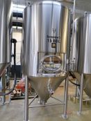 NSI 15 BBL S/S Fermenter Tank