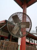 (4) TPI Fans