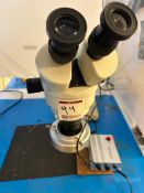 Amscope Stereozoom Microscope