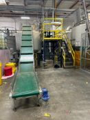 Ipsung Conveyorized Pulping System