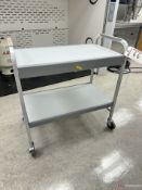 2-shelf rolling utility cart