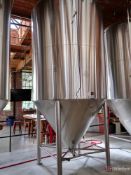 NSI UT-60B Jacketed Fermentation Tank; 60 BBL