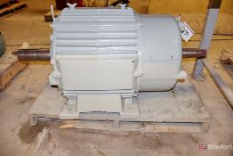 Wound Rotor Motor for PH Crane 100-HP