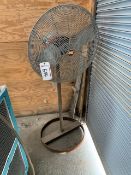 Lot of Fans - Outside