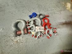 Lot of Various Sized Shackles