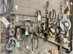 Large Lot of various sized rubber bands