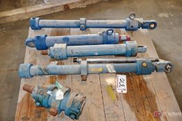 Hydraulic Cylinders - Misc. Sizes
