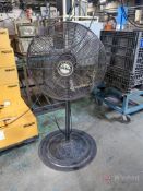 Shop Fan