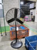 Shop Fan