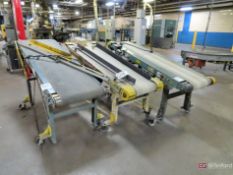 (3) Hytrol Powered Belt Conveyors