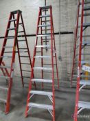 10' Fiberglass Ladder