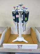 Lot of (6) Gilson Pipetman Various ML Pipettes w/ Stands