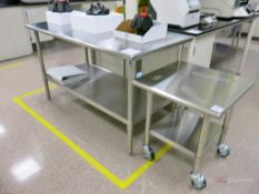 Lot of (2) SS Tables