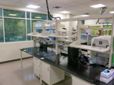 Lot of (4) Lab Work Benches