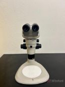 Nikon SMZ1000 Stereozoom Microscope; Model: C-FMC