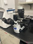 Olympus CKX53 Stereozoom Microscope w/ Olympus LC35 Digital Camera