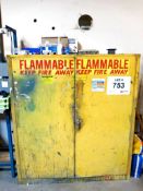 2-Door Paint Safety Storage Cabinet, w/ contents