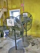 Pedestal Fans