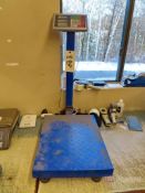 TCS Systems 300kg Shipping Scale