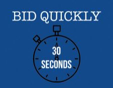 BID QUICKLY, LOTS WILL BE ENDING EVERY 30 SECONDS AT THIS AUCTION!