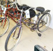 Trek Calypso Ladies Bicycle