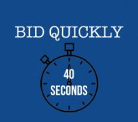 BID QUICKLY, LOTS WILL BE ENDING EVERY 40 SECONDS AT THIS AUCTION!