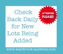 CHECK BACK DAILY FOR NEW LOTS BEING ADDED