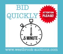 BID QUICKLY, LOTS WILL BE ENDING EVERY 5 MINUTES AT THIS AUCTION!