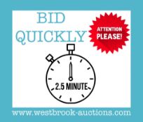 BID QUICKLY, LOTS WILL BE ENDING EVERY 2.5 MINUTES AT THIS AUCTION!