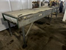 Conveyor Straight 3' x 13' Motorized 230/460v