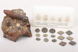 Battlefield Recovered Relics from Crimean War and American Civil War
