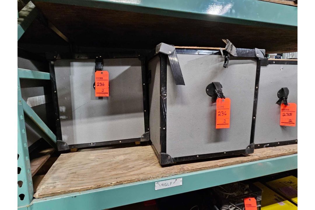Lot of (2) 4 globe light fixtures with protective case - Image 2 of 2