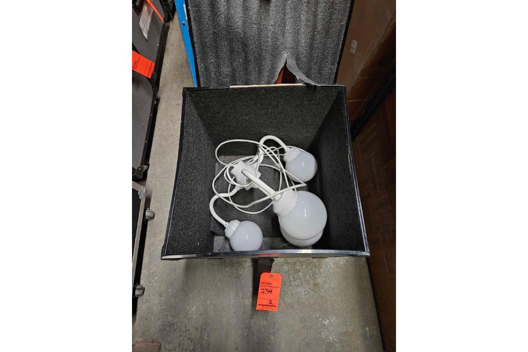 Lot of (2) 4 globe light fixtures with protective case - Image 1 of 2