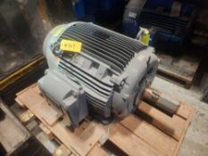 WEG Motor