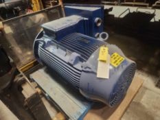 WEG Motor