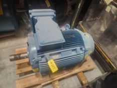 WEG Motor