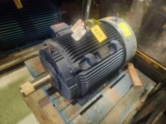 Marathon Motor