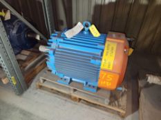 Marathon Motor