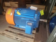 Marathon Motor