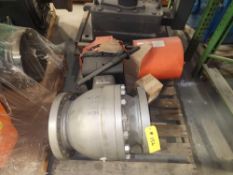 Stainless Steel Gate Valve