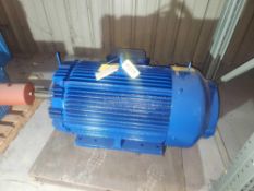 Teco Motor